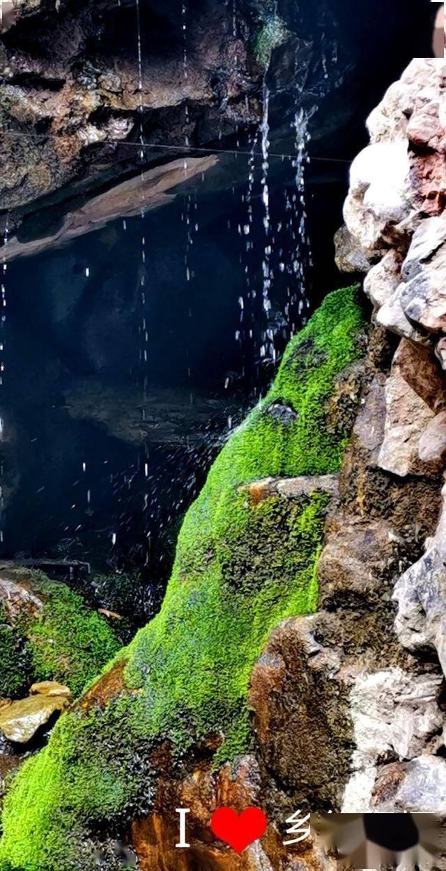 虫虫助手下载